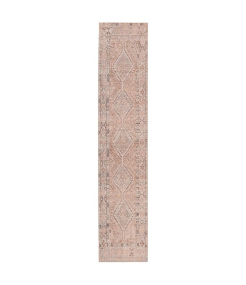 Jaipur Living Marquesa Trellis Light Pink/ Blue Runner Rug 2'6"X12'