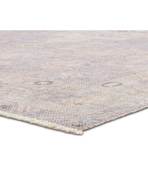 Jaipur Living Lumal Purple LML06 4 ft. X 6 ft. Rectangle Rug