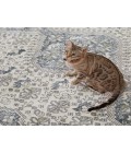 Vibe by Jaipur Living Yucca Medallion Cream/ Blue Area Rug 6'7"X9'6"
