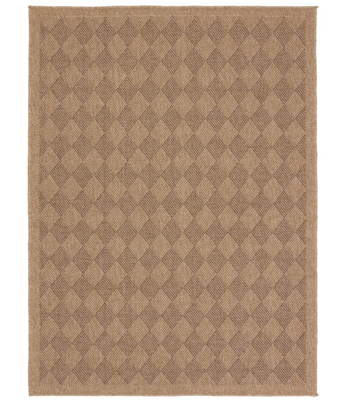 Vibe by Jaipur Living Amanar Indoor/Outdoor Tribal Brown Area Rug 4'X6'