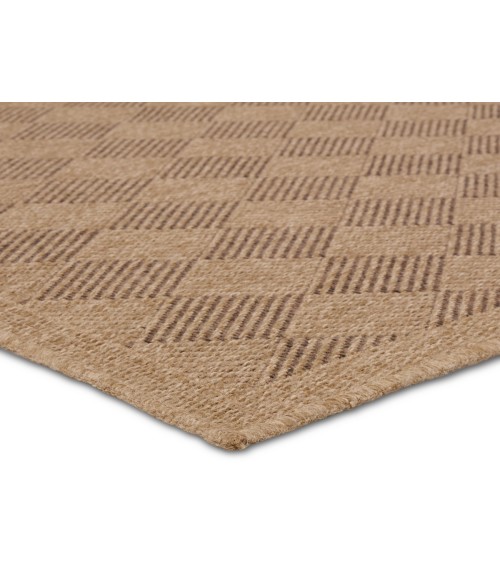 Vibe by Jaipur Living Amanar Indoor/Outdoor Tribal Brown Area Rug 4'X6'