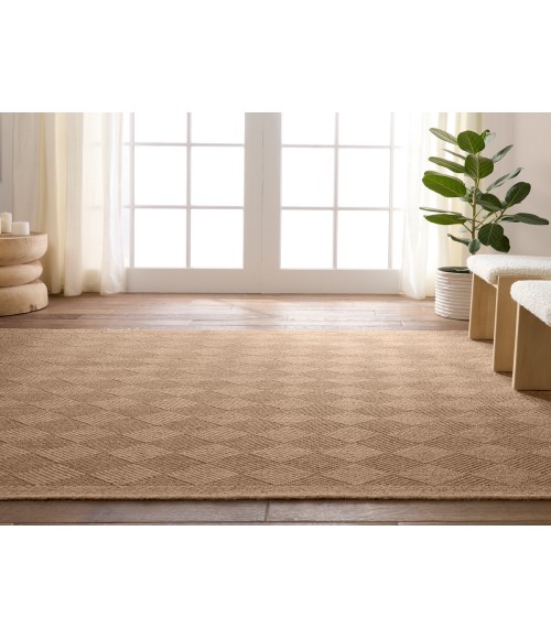 Vibe by Jaipur Living Amanar Indoor/Outdoor Tribal Brown Area Rug 4'X6'