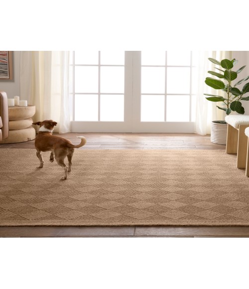 Vibe by Jaipur Living Amanar Indoor/Outdoor Tribal Brown Area Rug 4'X6'