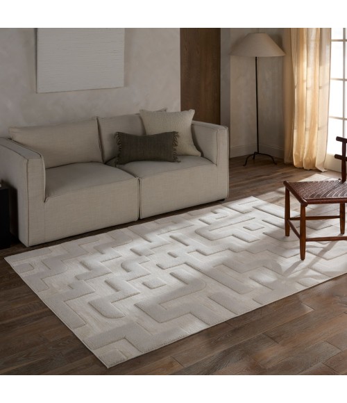 Jaipur Living Petros Ivory Ptr08 3 Ft. 11 In. X 5 Ft. 11 In. Rect. Rug
