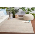 Jaipur Living Limon Indoor/ Outdoor Solid Light Taupe Area Rug (9'X12')