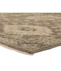 Jaipur Living Rhapsody Gray RHA16 10 ft. X 14 ft. Rectangle Rug