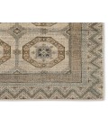 Jaipur Living Rhapsody Brown RHA23 6 ft. X 9 ft. Rectangle Rug