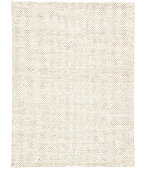 Jaipur Living Karlstadt Handmade Solid Taupe/ White Area Rug (9'X12')