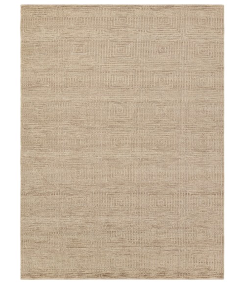 Jaipur Living Tasa Tan/Taupe TAS01 10 ft. X 14 ft. Rectangle Rug