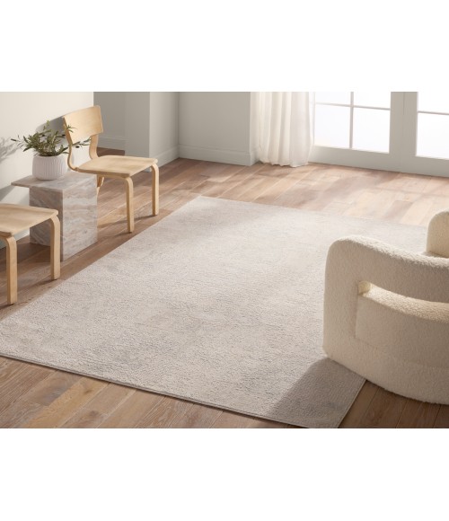 Jaipur Living Brochan Abstract Gray/Cream Area Rug 3'11"X5'11"