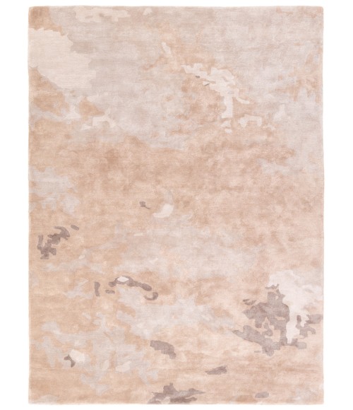 Jaipur Living Transcend Tan/Taupe TRD06 10 ft. X 14 ft. Rectangle Rug