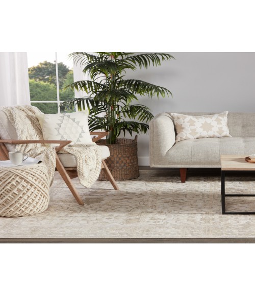 Vienne Area Rug Jaipur Living Valentin Oriental Cream/ Light Gray Area Rug (5'X7'6")
