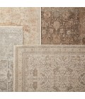 Vienne Area Rug Jaipur Living Valentin Oriental Cream/ Light Gray Area Rug (5'X7'6")