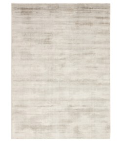 Jaipur Living Yasmin Yasmin YAS11 Silver 9 ft. X 12 ft. Rectangle Rug