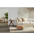 Zefira Area Rug Vibe by Jaipur Living Luana Oriental Beige/ Rust Area Rug (8'X10'6")