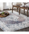 CALIFORNIA VINTAGE Area Rug Ankara Vintage Medallion Gray/Ivory 4 ft. x 6 ft. Area Rug