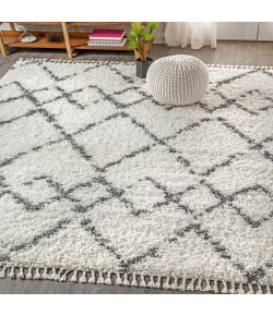 Jonathany Mercer Shag MCR102B Ivory/Grey Area Rug 7 ft. 9 in. X 10 ft. Rectangle