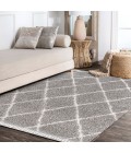 Mercer Shag Plush Tassel Moroccan Geometric Trellis Grey/Cream 4 ft. x 6 ft. Area Rug
