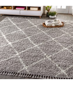 Jonathany Mercer Shag MCR104C Grey/Cream Area Rug 4 ft. X 6 ft. Rectangle