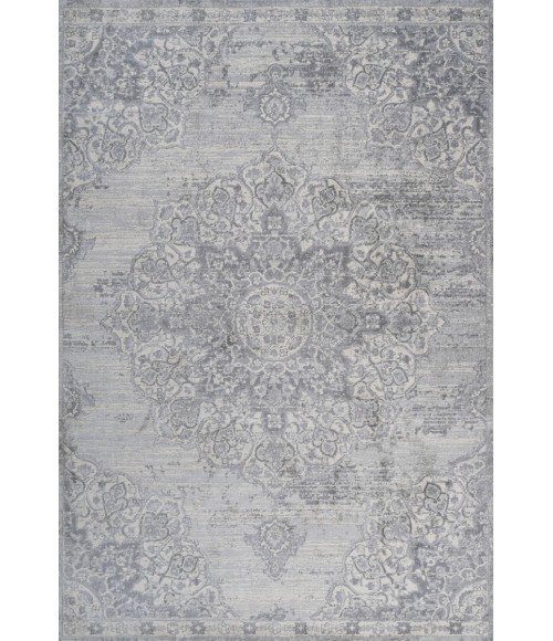 MODERN PERSIAN Area Rug Modern Vintage Moroccan Medallion Light Gray 4 ft. x 6 ft. Area Rug