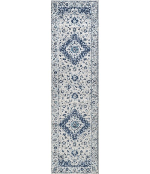 MODERN PERSIAN Area Rug Indhira Ornate Medallion Persian Blue/Gray 2 ft. x 8 ft. Runner Rug