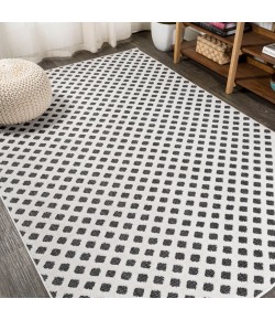Jonathany South Beach SBH101B White/Black Area Rug 4 ft. X 6 ft. Rectangle