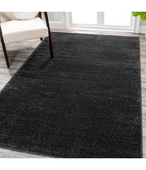 SUPERSOFT Area Rug Haze Solid Low-Pile Black 12 ft. x 15 ft. Area Rug