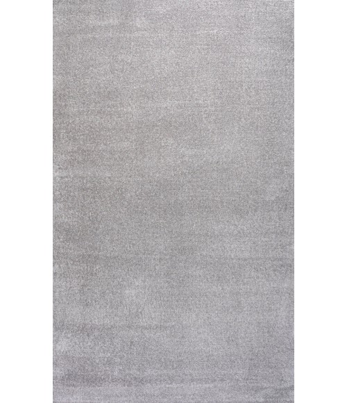 SUPERSOFT Area Rug Haze Solid Low-Pile Light Gray 4 ft. x 6 ft. Area Rug