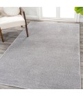 SUPERSOFT Area Rug Haze Solid Low-Pile Light Gray 4 ft. x 6 ft. Area Rug