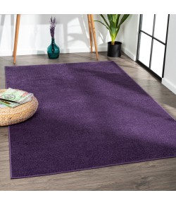 Jonathany Supersoft SEU100N Purple Area Rug 6 ft. 2 in. X 9 ft. Rectangle