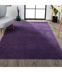 Jonathany Supersoft SEU100N Purple Area Rug 3 ft. X 5 ft. Rectangle