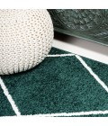 SUPERSOFT Area Rug Cole Minimalist Diamond Trellis Green/White 5' Round Area Rug