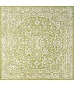 Jonathany Santa Monica SMB104D Green/Cream Area Rug 5 ft. 3 in. X 5 ft. 3 in. Square