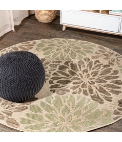 Jonathany Santa Monica SMB110A Sage/Brown Area Rug 5 ft. 3 in. X 5 ft. 3 in. Round