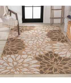 Jonathany Santa Monica SMB110I Brown/Cream Area Rug 3 ft. 11 in. X 6 ft. Rectangle