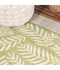 SANTA MONICA Area Rug Nevis Palm Frond Green/Cream 5' Round Indoor/Outdoor Area Rug