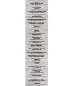 Jonathany Santa Monica SMB124D Ivory/Black Area Rug 2 ft. 2 in. X 8 ft. Runner