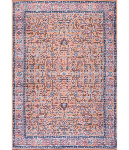 WSH104A Area Rug Kemer All-Over Persian Washable Multi 4 ft. x 6 ft. Area Rug