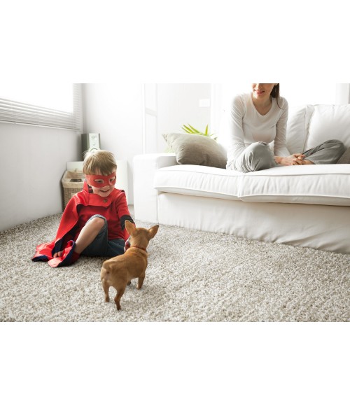 Cotton Bloom Area Rug Kaleen Cotton Bloom CTB01-03 Area Rug