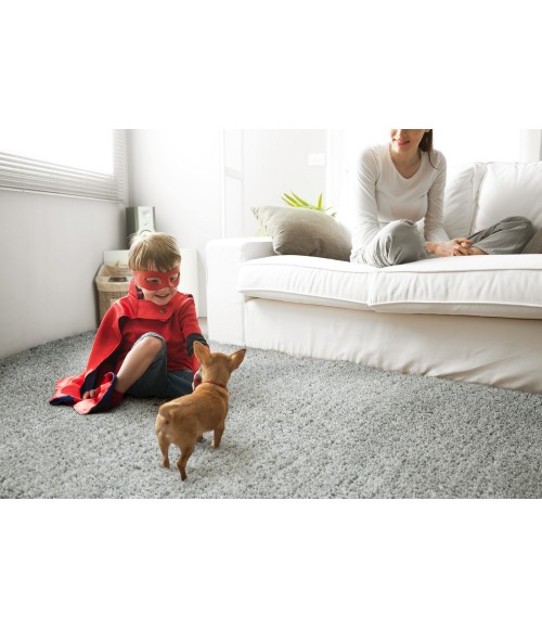 Cotton Bloom Area Rug Kaleen Cotton Bloom CTB01-75 Area Rug