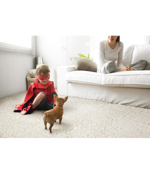 Cotton Bloom Area Rug Kaleen Cotton Bloom CTB01-76 Area Rug
