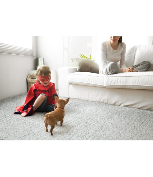 Cotton Bloom Area Rug Kaleen Cotton Bloom CTB01-77 Area Rug