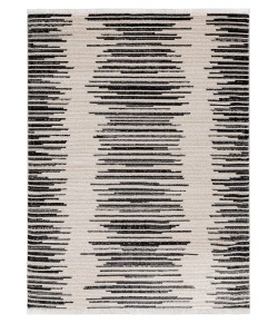 Kaleen Juniper Ivory TDJ01-1 7 ft. 10 in. X 10 ft. 10 in.  Rectangle Rug