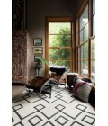 Adler Rug Loloi Adler AW-04 Area Rug