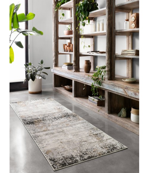 Alchemy Rug Loloi II Alchemy ALC-02 Area Rug
