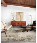 Axel Rug Loloi Axel AXE-04 Area Rug
