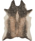 Loloi II Bryce BZ-04  Area Rug