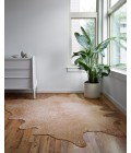 Bryce Rug Loloi II Bryce BZ-05 Area Rug
