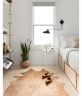 Bryce Rug Loloi II Bryce BZ-05 Area Rug