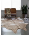 Loloi II Bryce BZ-06  Area Rug